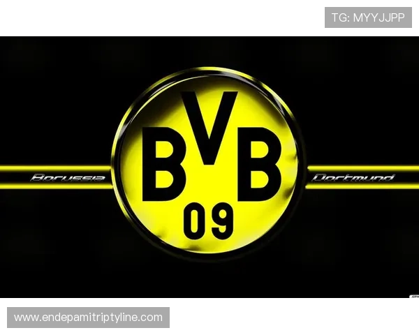 BV体育官方网站最新登录入口及安全保障指南，确保玩家账号安全无忧