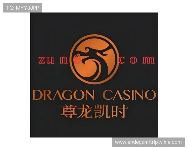 尊龙平台app未来发展规划与新功能预告，持续优化带来更优质的游戏环境