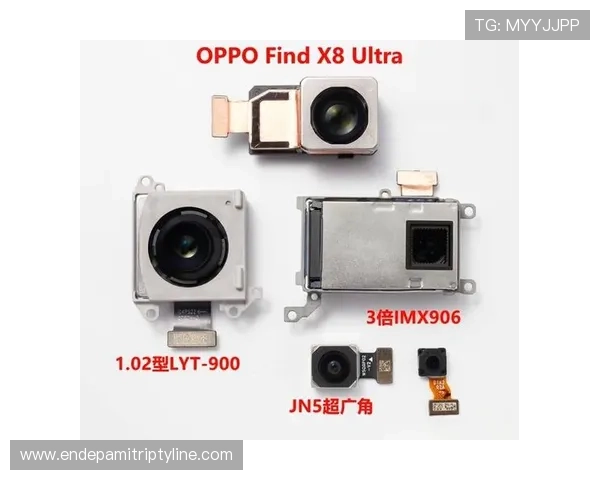 齐发体育常见问题解答全面覆盖新手常遇到的疑问与解决方案