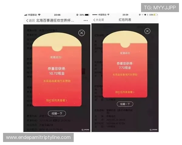 买球到底能不能赚钱?专家分析世界杯投注的盈利可能性与风险控制策略